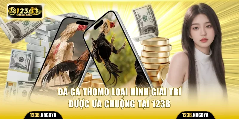 Đá gà Thomo loại hình giải trí được ưa chuộng tại 123B 